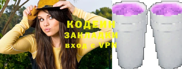 хмурый Заводоуковск