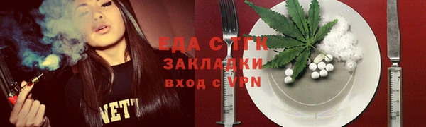 гашик Ельня