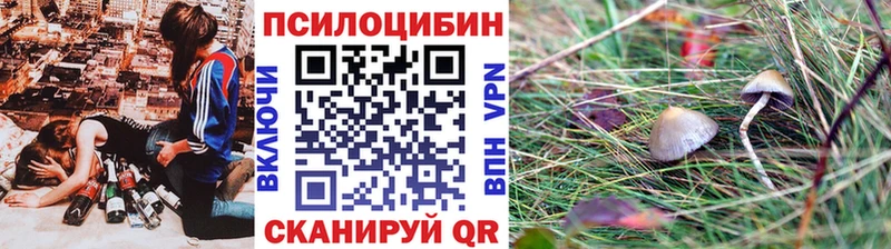Галлюциногенные грибы Psilocybine cubensis  закладка  Архангельск 