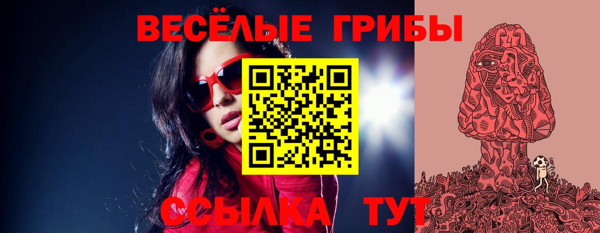 Псилоцибиновые грибы Psilocybine cubensis Архангельск